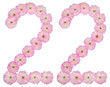 © kostiuchenko - Numeral 22, twenty two, from natural pink flowers of almond tree, isolated on white background