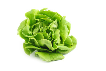 Organic Hydroponics Vegetable for salad Buttter Head Leaf isolated on white background