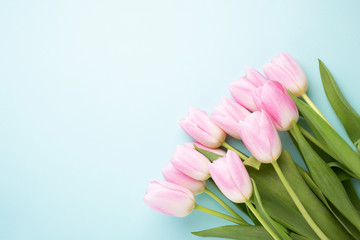 Wall Mural - Greeting card with pink tulips.