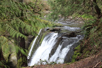 waterfall in forest