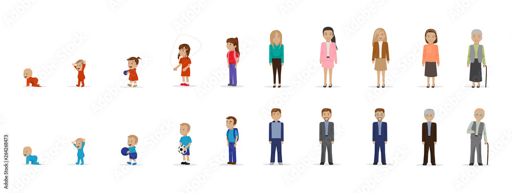 เวกเตอร์ Stock Human Life Cycle Stages Set - Isolated On White ...