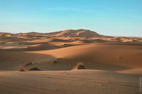 Sahara
