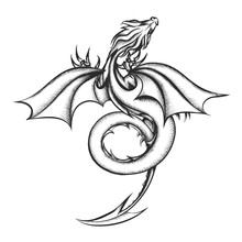 Dragon Drawn In Engraving Style Isolated On White