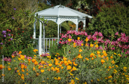Blooming Flowers In Front Of A White Gazebo At South Coast Botanic