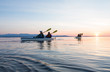 © ML Harris - Group of people friends sea kayaking together at sunset in beautiful nature. Active outdoor adventure sports.