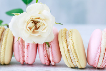 Poster - French macaroons and yellow roses.