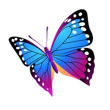 Color Butterfly In Modern Style. Isolated Design Element On White Background. Vector Illustration Butterfly Blue Monarch