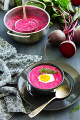 Wall Mural - Cold soup with yogurt beets and cucumbers. okroshka.