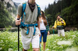 © NDABCREATIVITY - Trekking, camping, hiking and wild life concept. Group of friends are hiking in nature