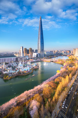 Sticker - Sunset over cherry blossom park and tower background