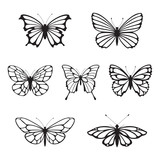 Fototapeta Motyle - Butterfly black 2