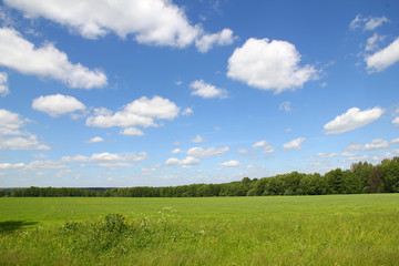 Canvas Print - fields of Russa