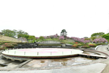 Wall Mural - 静峰ふるさと公園