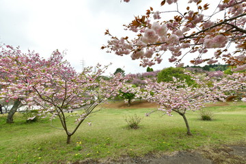 Poster - 静峰ふるさと公園