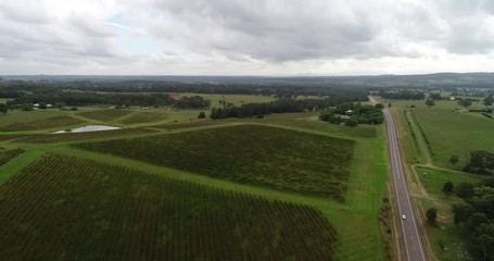 Wall Mural - Wine making agricultural farm in Hunter Valley of NSW, Australia – aerial rotation along local road over hills and vineyards.