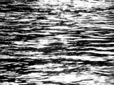Fototapeta Kwiaty - abstract water wave with sunshine black and white style