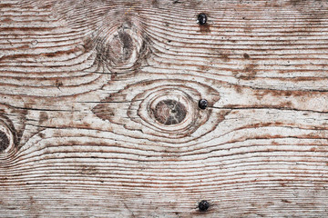 Wall Mural - detail of a knot on spruce wooden plank