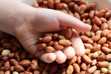 Ground Peanuts In Children's Hands