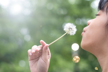 Asia child girl blowing dandelion with blur nature green tree background for May flower and summer  season concept.