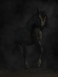 A black horse emerges from darkness.  It eyes glow red as it gazes upon you.  With it comes fear.  This dark horse is the Nightmare, the bringer of bad dreams. 3D Rendering