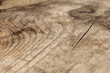 © polakravis - texture of wood