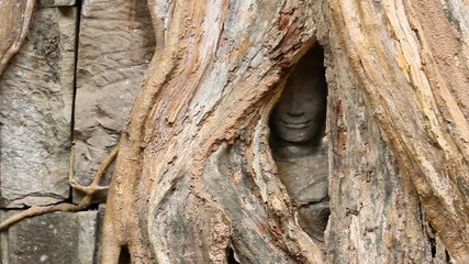 Wall Mural - Ta Prohm Hidden Face insde tree at Siem Reap, Cambodia., Lockdown.