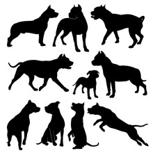 Staffordshire Terrier. Vector Silhouette Of A Dog On A White Background. Stock Illustration