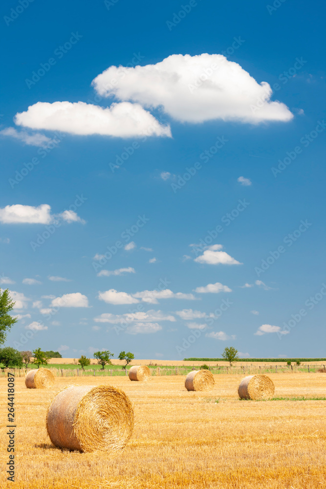 field with straw - obrazy, fototapety, plakaty 