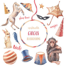 Watercolor Circus Set. Hand Drawn Illustrations: Trained Horse And Monkey, White Rabbit, Cylinder Hat And Other Trick Accesorises. Isolated Retro Objects