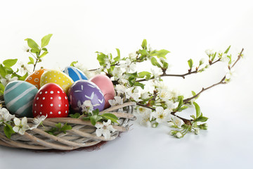 Painted Easter eggs in nest and blossoming branches on white background