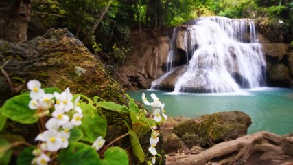 Wall Mural - RF Waterfall flow standing with forest enviroment and Angel Wing Begonia flower in thailand, called Huay or Huai mae khamin in Kanchanaburi Provience, Panning Right, Panning.