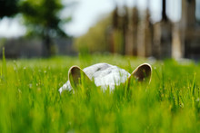 Corgi Puppy Dog Hiding In Green Grass During Spring.