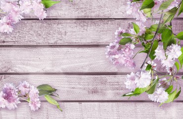 Wall Mural - Spring blossom flowers on wooden background