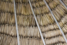 Palapa Ceiling Reeds And Grass