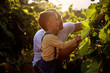 © tatiana - man and child in vineyards