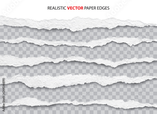 Cuadros en Lienzo realistic torn paper edges vector