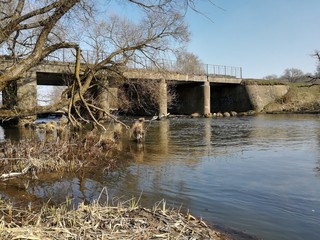 Canvas Print - River flowing under the bridge.