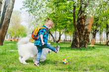 A Little Boy With Glasses Plays A Ball With A White Dog Near Flowering Trees In Spring
