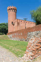 Wall Mural - Teutonic castle in Swiecie on the Vistula river