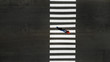 © Dmytro - One pedestrian crossing zebra crosswalk, aerial, top view