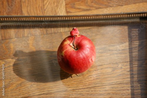Cuadros en Lienzo big and small apple. big red apple New York and small New Jersey