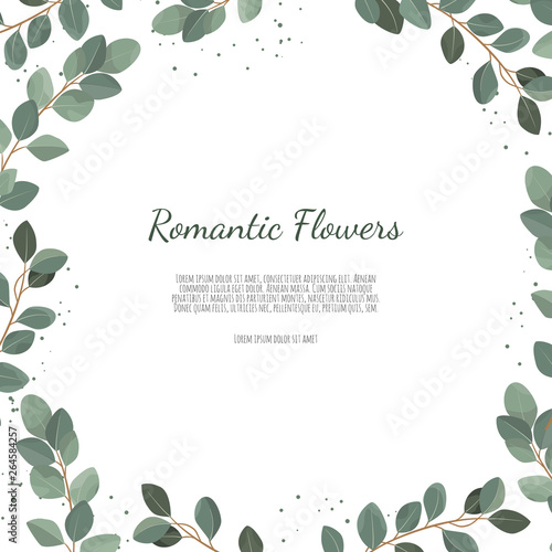 Eucalyptus silver dollar green branches leaves foliage, border, frame.