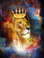 Lion King In Cosmic Space. Lion On Cosmic Background.