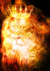 lion king in cosmic space. Lion on cosmic background.