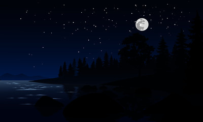 night sky at river in forest