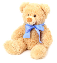 toy teddy bear isolated on white background