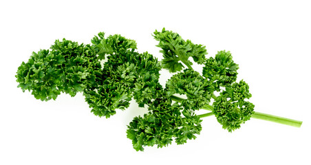 Parsley isolated on white background