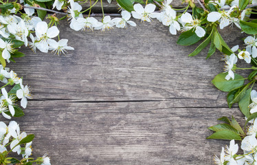  white cherry flowers on old, wooden boards, cherry branch. View from above.
