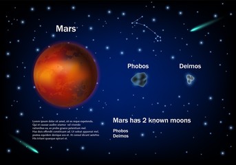 Wall Mural - mars and its moons, vector educational poster