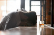 Drunk man sleeping on bar counter near glass with alcohol